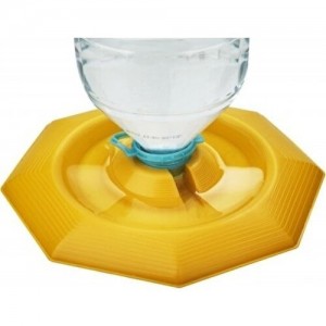 Arı Suluğu Arı Suluğu