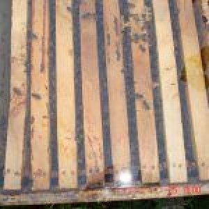 Kovan Üstü Naylon Örtü Bezi (Katkısız)