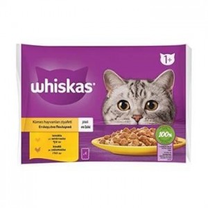 Whiskas Pouch Jöle İçinde Tavuklu ve Hindili Yetişkin Kedi Konservesi 85gr (4'lü) Whiskas Pouch Jöle İçinde Tavuklu ve Hindili Yetişkin Kedi Konservesi 85gr (4'lü)