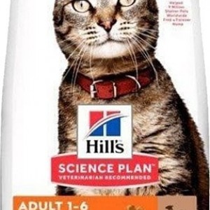 Hill's Adult Optimal Care Kuzu Etli ve Pirinçli 10 kg Yetişkin Kuru Kedi Maması Hill's Adult Optimal Care Kuzu Etli ve Pirinçli 10 kg Yetişkin Kuru Kedi Maması