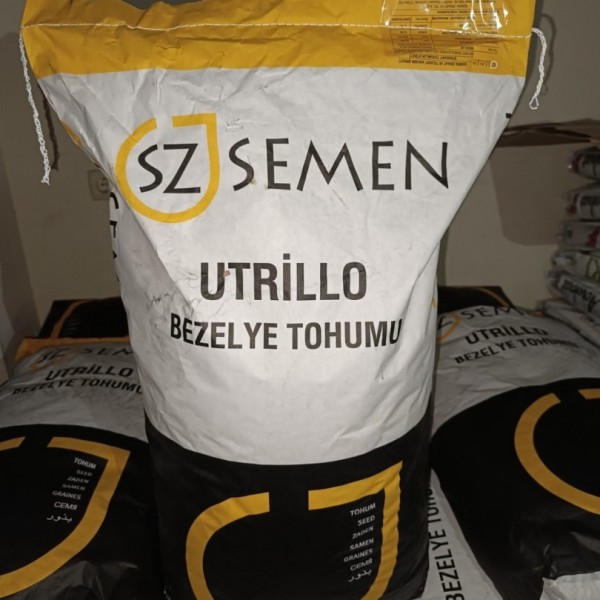 Tane Bezelye Tohumu