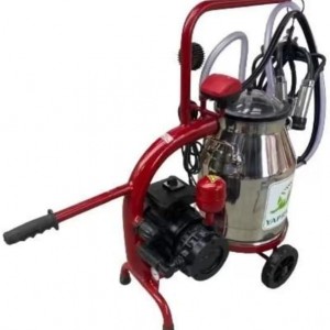 Bartech Yaprak Tekli İnek Süt Sağım Makinası C30 Krom Güğüm Kuru 30lt Bartech Yaprak Tekli İnek Süt Sağım Makinası C30 Krom Güğüm Kuru 30lt