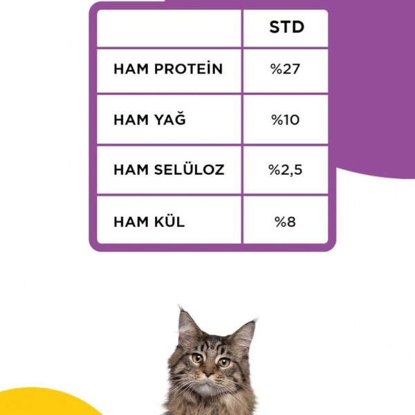 Econature Gurme Balıklı Yetişkin Kedi Maması 15 KG Econature Gurme Balıklı Yetişkin Kedi Maması 15 KG