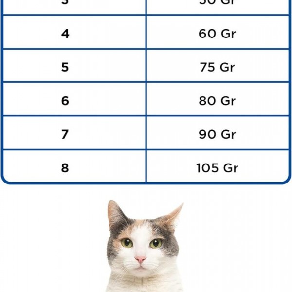 Econature Gurme Balıklı Yetişkin Kedi Maması 15 KG Econature Gurme Balıklı Yetişkin Kedi Maması 15 KG