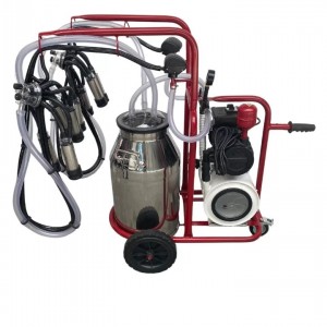 Bartech Yaprak Çiftli İnek Süt Sağım Makinası C40 Krom Güğüm Kuru