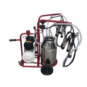 Bartech Yaprak Çiftli İnek Süt Sağım Makinası C40 Krom Güğüm Kuru Bartech Yaprak Çiftli İnek Süt Sağım Makinası C40 Krom Güğüm Kuru